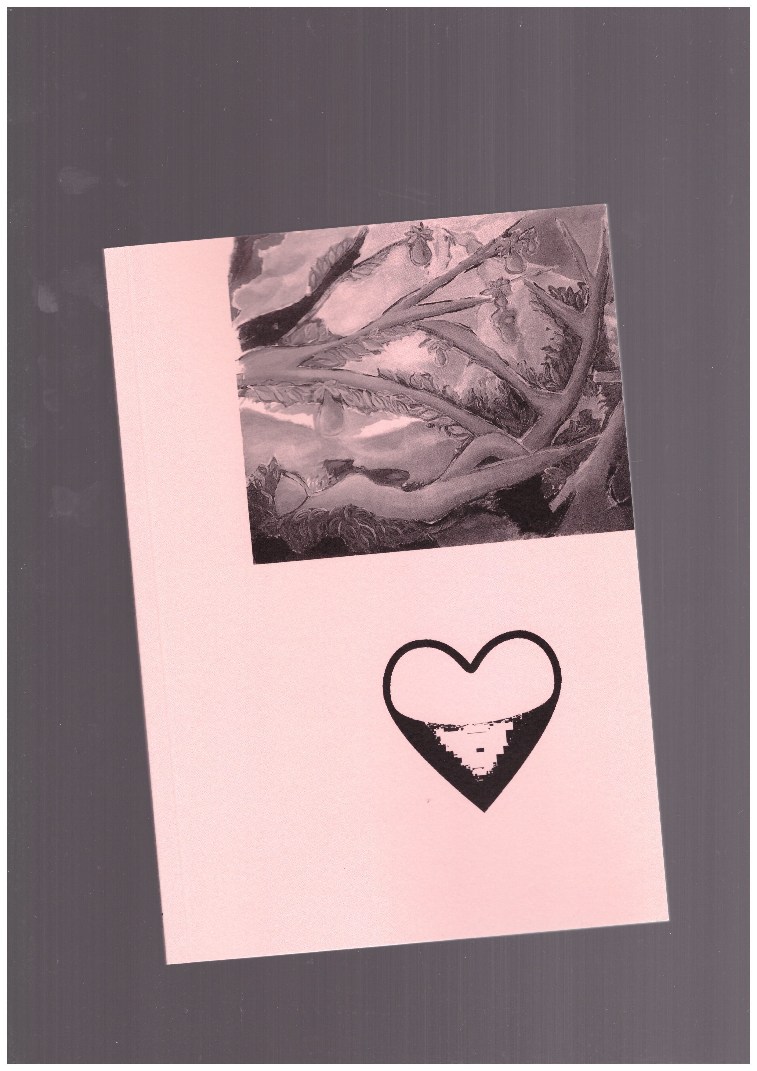 BARBIER, Nora - Le Cœur solide